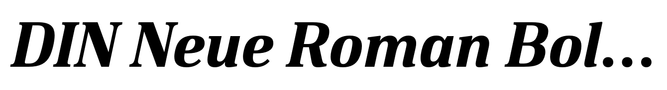 DIN Neue Roman Bold Italic